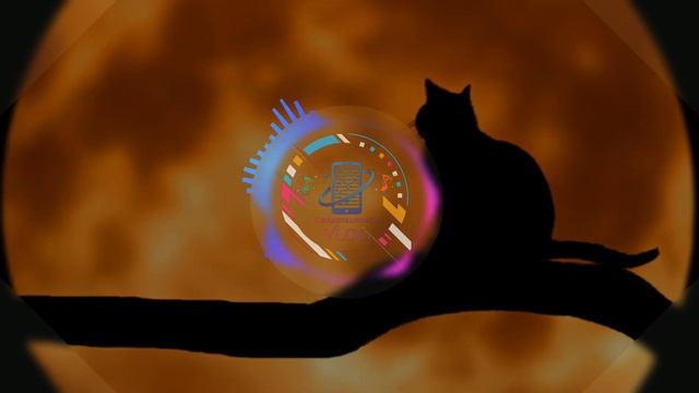 Cat [genre hip hop] | Groovy Loops ? смотреть онлайн