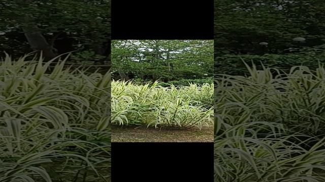 Сочи смотреть онлайн