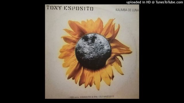 Tony Esposito | Kalimba De Luna (Kamasutra & Bini Exte Vocal Mix) смотреть онлайн