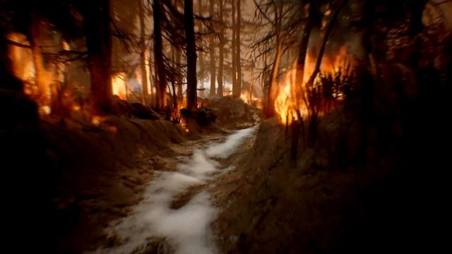 The Fidelio Incident | The Final Chapter | EP4 | The Fidelio Incident Gameplay смотреть онлайн