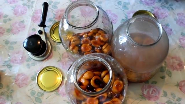 АБРИКОСОВЫЙ КОМПОТ НА ЗИМУ!!! /ERIK KOMPOTU/ ПРОСТО КОМПОТ ВИШНЯ+ АБРИКОС смотреть онлайн