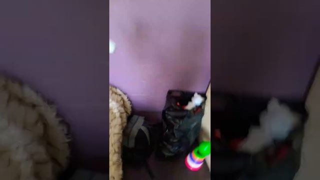 соник - скалолаз #sonic смотреть онлайн