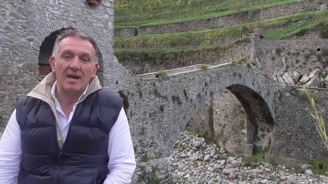 GERANIO LUCIDO смотреть онлайн