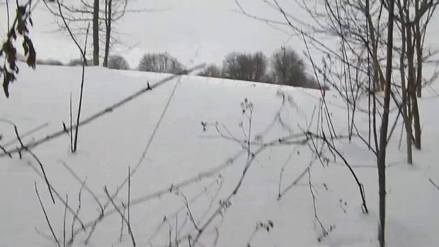 Охота на кабана МУТАНТА | мутант из Чернобыля !!! смотреть онлайн