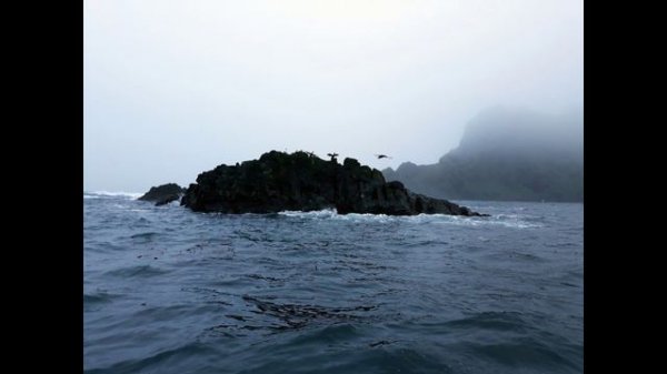 Lens: о. Медный, Командорские острова.