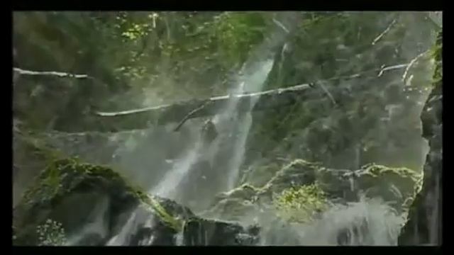 Zepter Aqueena — фильтр Цептер Аквина смотреть онлайн