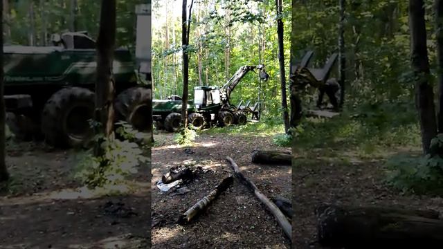 Харвестор новый способ валить лес смотреть онлайн