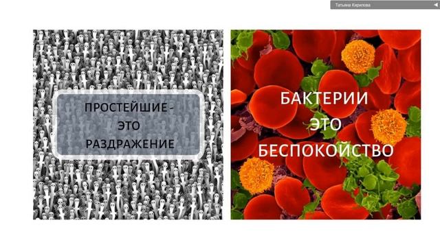 Кирилова Татьяна. Болезни половой сферы. Вебинар 25.02.20 смотреть онлайн