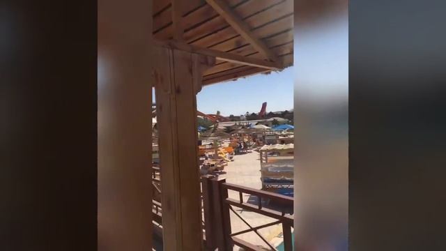 Отель Albatros Jungle Aquapark 4* смотреть онлайн