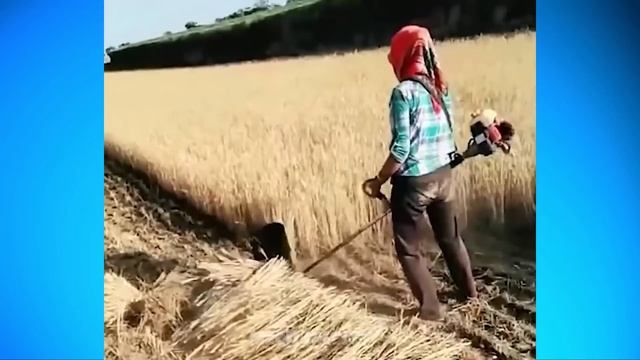 20 Minute Satisfying Video Working & Amazing Machine, Tool, Worker #34