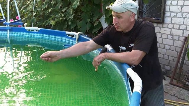 Как сделать бассейн чистым и прозрачным смотреть онлайн