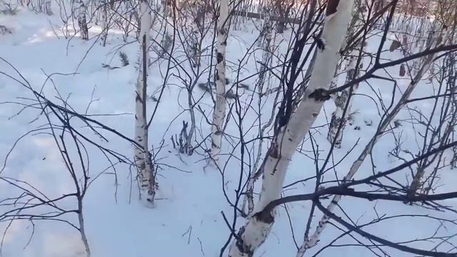 принесли строе мотерьялы в дом смотреть онлайн