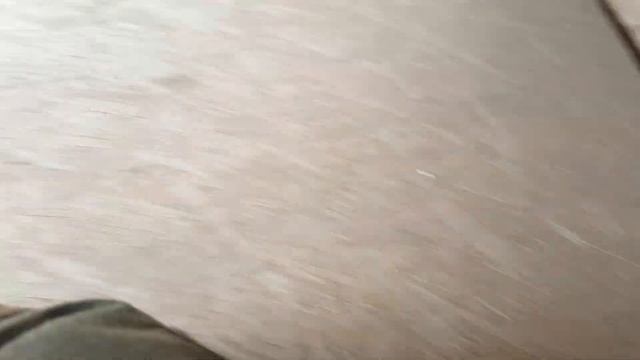 Строительство и особенности будки для собаки - Немецкая овчарка. смотреть онлайн