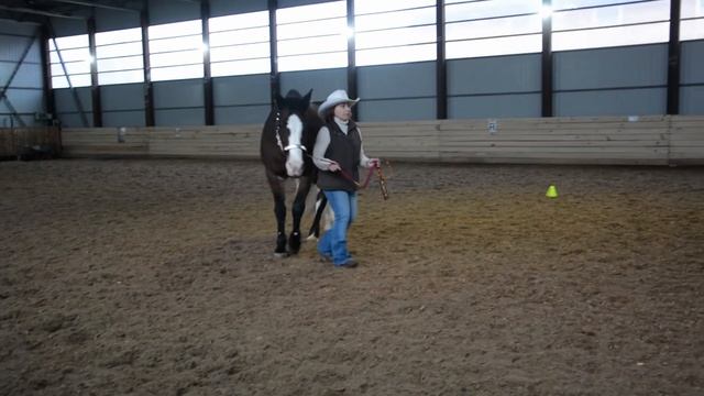Спортивный вестерн. Шоуменшип. Western sport. Showmanship. смотреть онлайн