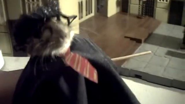Hairy Harry Potter played by Ando смотреть онлайн