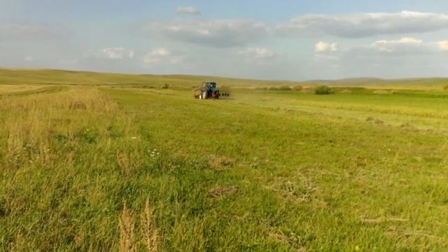 мтз 50 в поле с движкой и ворошилкой смотреть онлайн