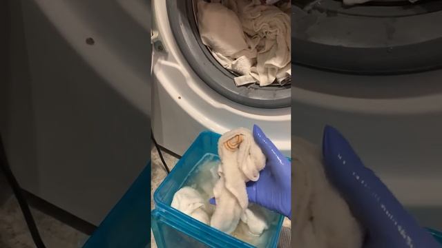 Отбеливаю полотенца с помощью Персоль смотреть онлайн