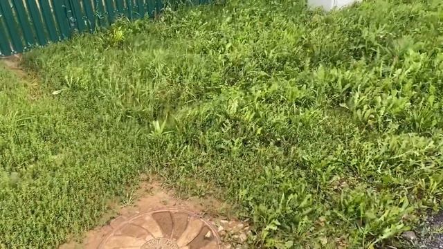 Продается земельный участок , земля на Юге подмосковья, у Подольска, 30 минут от Москвы. 8 соток смотреть онлайн