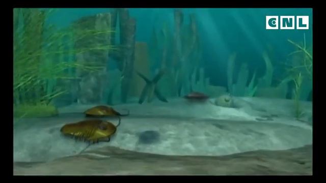 Разумный замысел (часть 2)