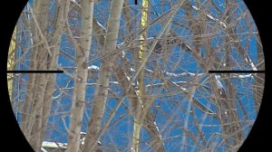 Январский Ассорти. Охота на Ворону. Crow Hunting 2022. Кроухантинг. Jack Hunter.