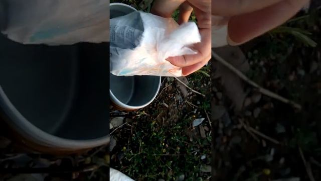 ПВД....что находиться в моем котелке... ;) 20170609 204733 смотреть онлайн