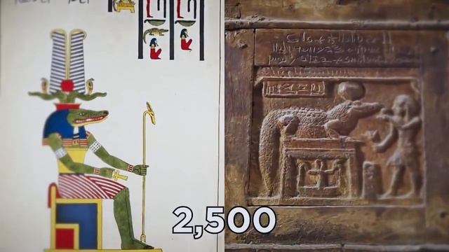 УДИВИТЕЛЬНЫЕ НАХОДКИ ВНУТРИ ЖИВОТНЫХ смотреть онлайн