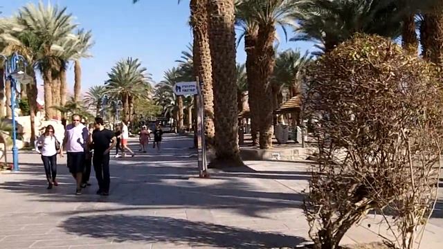 Прогулка по набережной Эйлата! смотреть онлайн