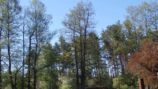 Утренняя Молитва лётчика снайпера смотреть онлайн