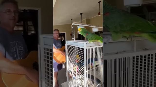 Best of смотреть онлайн