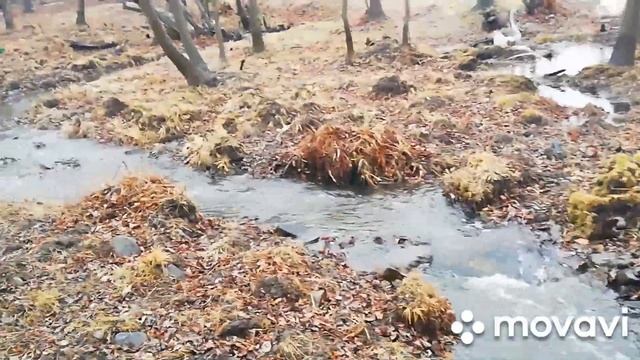 Едем на Дачу. ?Гуси купаются в пруду? смотреть онлайн