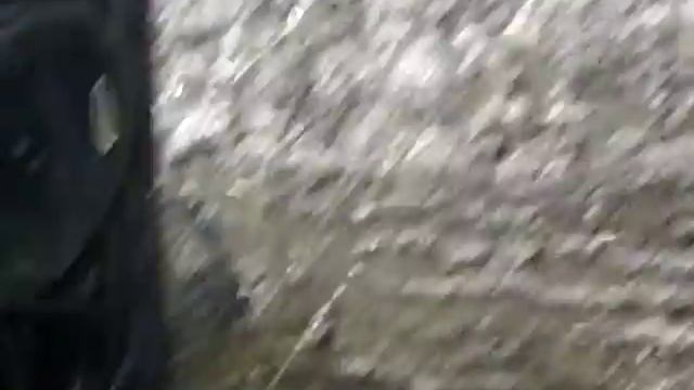 заплыв нива смотреть онлайн