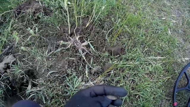 #Коп! Деревенские тёлки не помеха, продолжаем копать!