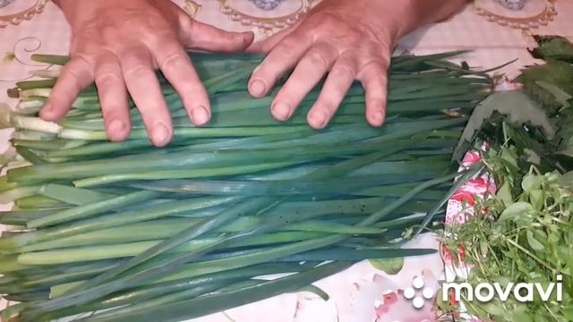 Делаем запасы зелени на зиму смотреть онлайн