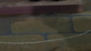 Птичья Нога