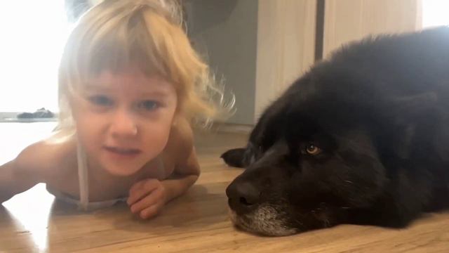День Рождения у волкособа Гул'дана. Ему три года. 🎂🍗 смотреть онлайн