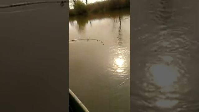 Рыбалка на реке Кигач смотреть онлайн