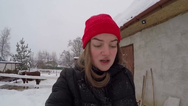 Доход от хозяйства. Кого выгодно разводить? Сбыт продукции смотреть онлайн