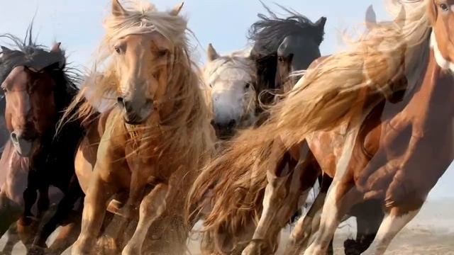 Невероятные чудеса 20 века. Удивительное спасение. смотреть онлайн