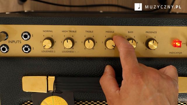 Marshall Studio Vintage 20C смотреть онлайн