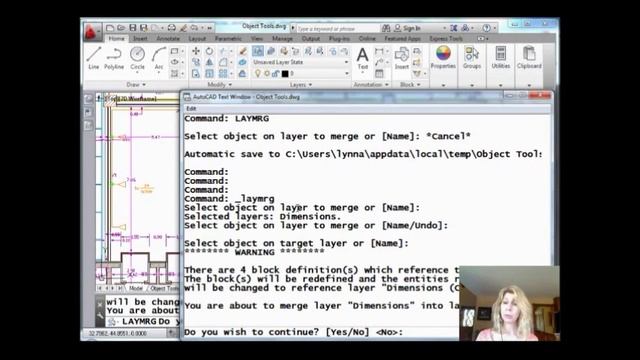 Combine Multiple AutoCAD Layers into One (Lynn Allen/Cadalyst Magazine) смотреть онлайн