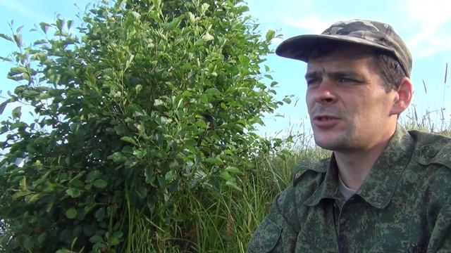 Рыбалка, как праздник! # Отчёт о рыбалке на карася в июле смотреть онлайн