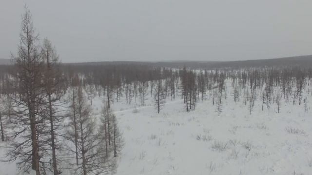 Что и как: парниковый эффект смотреть онлайн