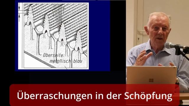 Werner Gitt / Überraschungen in der Schöpfung, Livemitschnitt in Zavelstein am 01.07.2023 смотреть онлайн