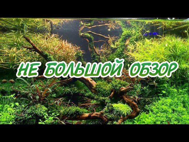 ПОКАЗАЛ ВСЕ АКВАРИУМЫ смотреть онлайн