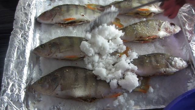 Засолка рыбы и икры в домашних условиях