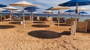 Огромный обзор отеля Albatros Palace Resort Sharm El Sheikh 5* в Египте - Шарм Эль Шейх