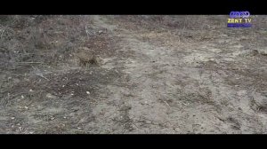 Продолжение ролика Дорога на Галанчож через Бамут!!! приятного просмотра////