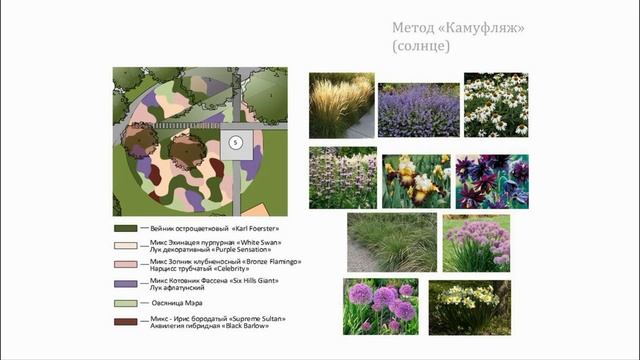 Дизайн цветника из любимых растений