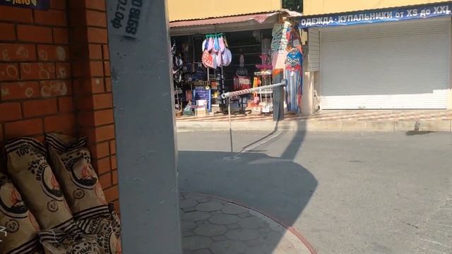 28 августа 20212/ Ольгинка/ Погода, море, дельфин и местные ягоды-фрукты смотреть онлайн