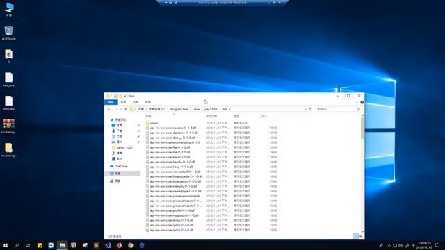 netbeans-java-9.0 with JDK11 смотреть онлайн